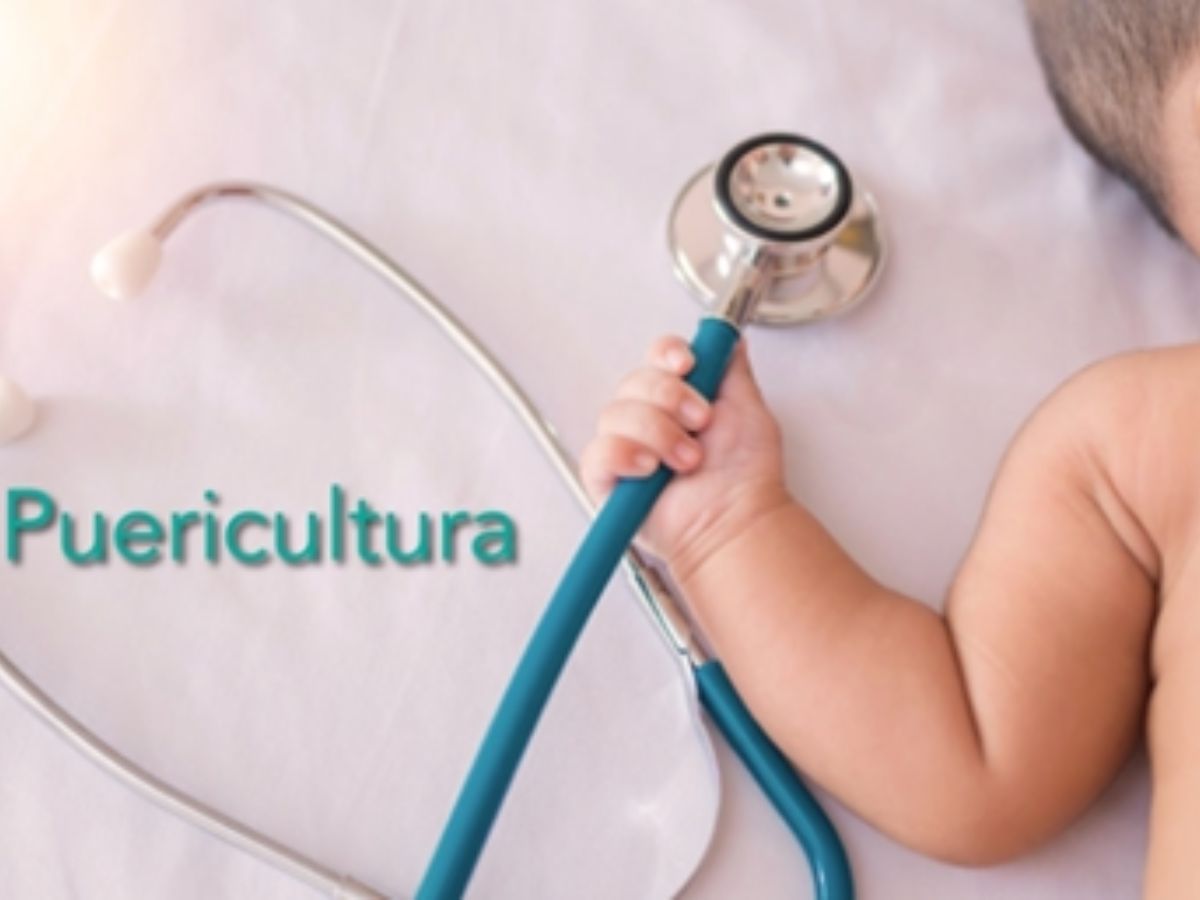 Acolhimento da família